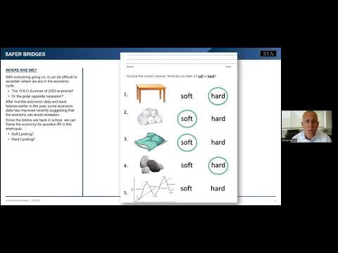 Safer Bridges -- Long-Term View