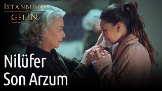 İstanbullu Gelin | Nilüfer - Son Arzum