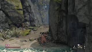 「SEKIRO」その狼、戦場を駆ける[生配信]六日目
