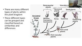 Introduction to Plant Diversity