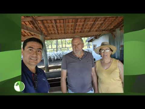 FAZENDA BEIRA RIO: FAMÍLIA RIGHETTI MOSTRA PRODUÇÃO NO PANTANAL DE ANASTÁCIO; CONFIRA