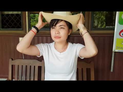 Fantastic! A Girl and A Horse At Horse Park Horse Training How To Teach Your