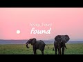 Nicky Youre - Found (Lyrics) [from the Netflix Film The Magician's Elephant]