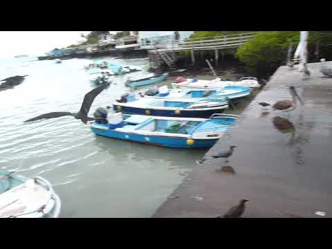 Muelle de pescadores en Isla Santa Cruz. Islas Galápagos.
