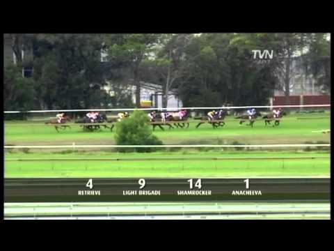 2011 Rosehill Guineas- Jimmy Choux