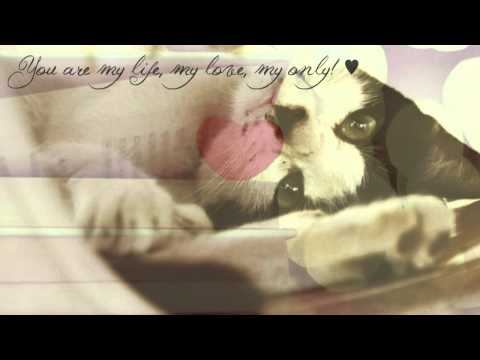 Theme: Love cards e-card: You Are My Life My Love My..