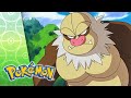 Love Petalburg Style POKÉMON FULL EPISODE 29 Season 7