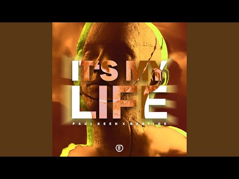 It's My Life (Techno Version)