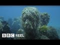 The Amazing Art Museum Under The Sea BBC REEL