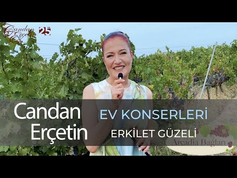 Tek Tek Basaraktan Şarkı Sözleri – Candan Erçetin Lyrics In Turkish