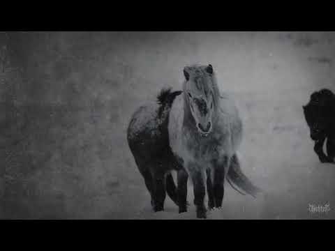 Donarhall - Hjarn (Video)