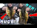 Video Thumbnail for 2021 Ice Fishing JUMBO RECORD Perch!! Feeding Frenzy! HUGE Fish! Best Day Ever!