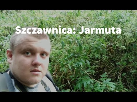Ścieżka na Jarmutę - Szczawnica Pieniny