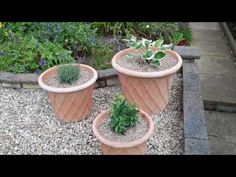 5 Glamis Place, Dundee in June