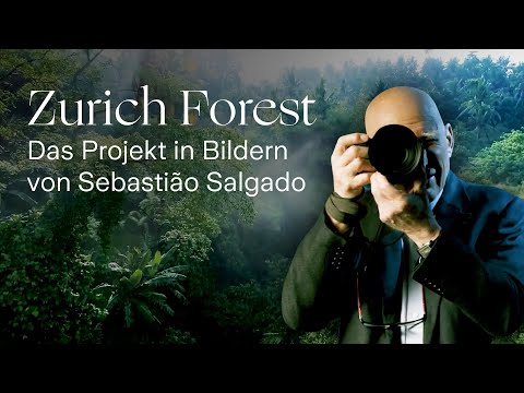 Sebastião Salgado erklärt den Zurich Forest mit seinen Bildern