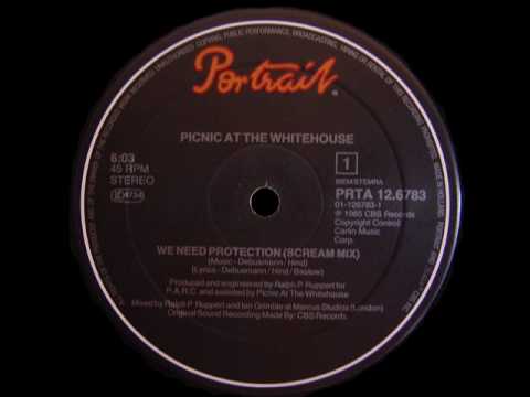 Picnic At The Whitehouse " We Need Protection " (Scream Mix)