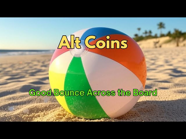 Josh Olszewicz – Alt Coins: Good Bounce Across the Board (12.12.2024 Summary)