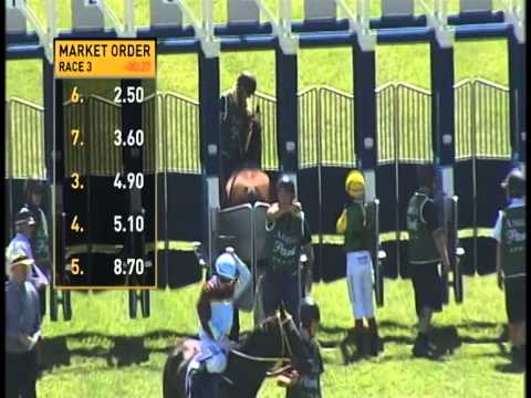 Red Ora Races at Ascot