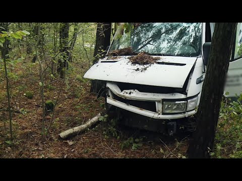 He tried to avoid a moose and crashed into a tree! #Road_Help