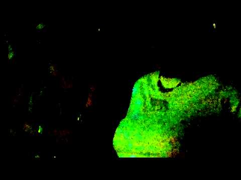 Manjola Ahmetaj - Sugarja e Nanes