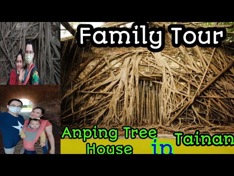 Family Tour (continuação) | Anping Tree House | Meshilun Huang