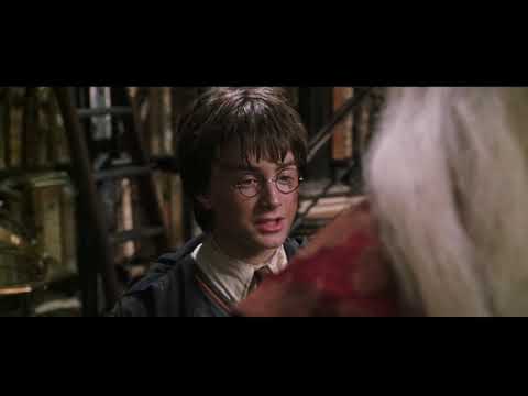 Harry Potter and the Chamber of Secrets - Harry and Dumbledore