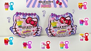 Hello Kitty & Friends MINIS - Keychain + Stamp (CODE HACK)
