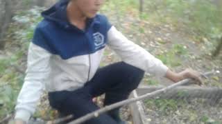 Когда можно ловить фазана