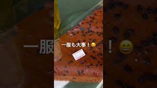 玉ねぎ苗出荷中！😄