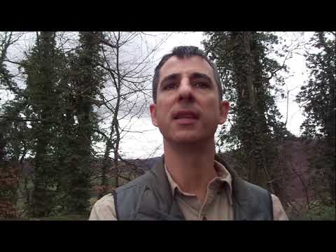 Burg Ruine Bottenstein