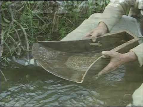 Antologia de Folclor a Județului Alba - CĂUTĂTORI DE AUR (Emilian Achim din Almașu Mare)