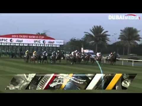 Dubai World Cup 2015: (Race 5) Alqouz Sprint كأس دبي العالمي : القوز للسرعة