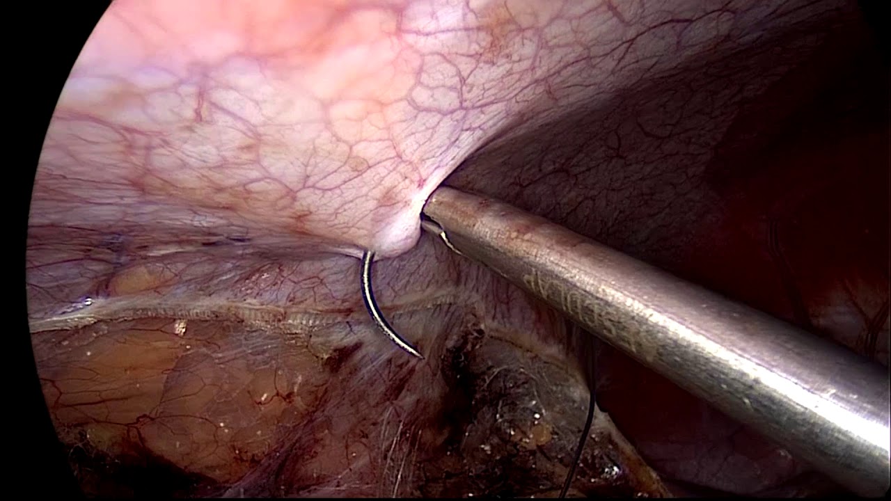 Alfonso José Fernández Carreño-7