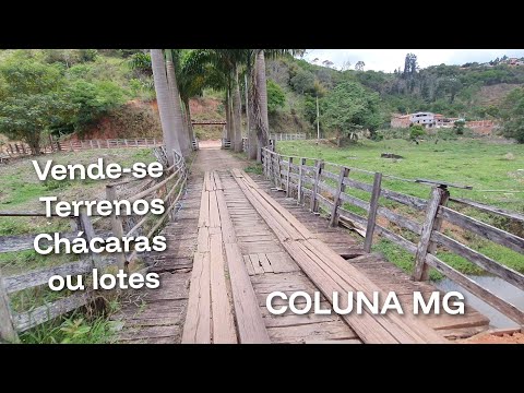 VENDE-SE ESSES TERRENOS / CHÁCARAS OU LOTES , LOCALIZADO EM COLUNA MG, INTERIOR DE MINAS GERAIS 