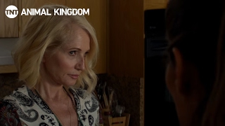 Animal Kingdom: Season 1 Preview | TNT