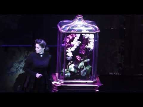 Rebecca das Musical -Sie ergibt sich nicht