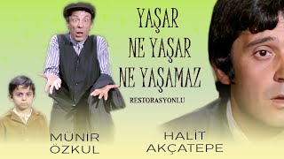Yaşar Ne Yaşar Ne Yaşamaz Türk Filmi  Restoras