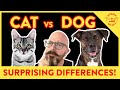 The Surprising Differences Between Cats And Dogs