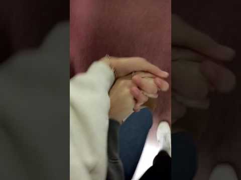 Morgan & Bailey 2016