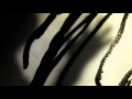 Stereo MCs - Black Gold (2008).mkv