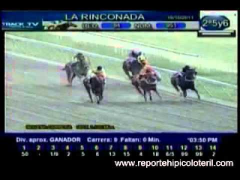 Resumen Domingo 16 de Octubre de 2011 - La Rinconada