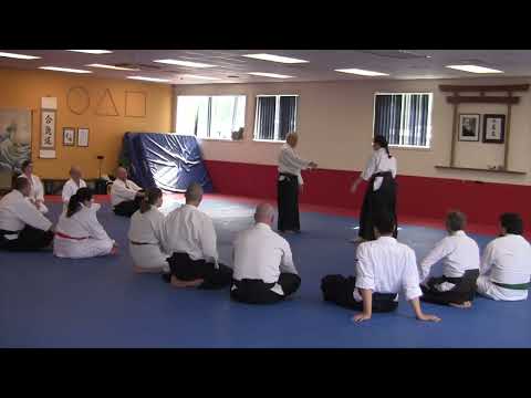 Harmonious Relationship -  NZ 2025 Quantum Aikido (クォンタム 合気道): -  Richard Moon