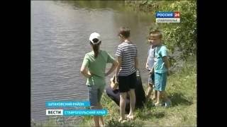 Пруд дубовка шпаковский район рыбалка