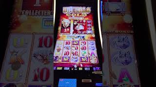 🔥💰 BIG WIN on FIRST SPIN! Triple Sunsets Multiplier!  Buffalo Gold Slot Machine BONUS WINS! #shorts Video Video