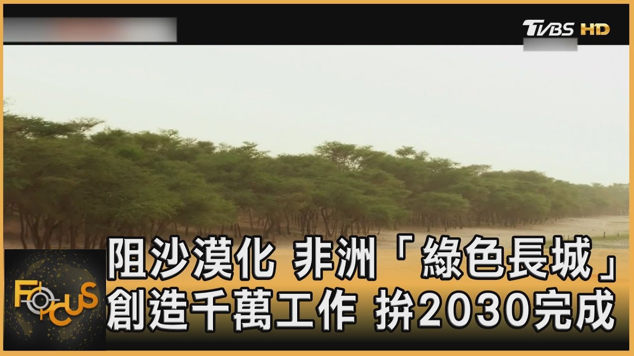 阻沙漠化 非洲「綠色長城」創千萬工作 拚2030完成