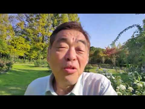 Taka Town Leisure Village Park Rosas e folhagem de outono Trilha para caminhada 2 de novembro de 2023 Famosas manchas de flores em Harima Roses Harima Park Folhagem de outono Destaques do condado de Taka