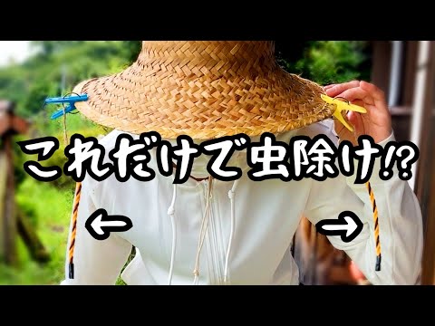 庭の虫よけ: 7 つのヒント 自然と動物