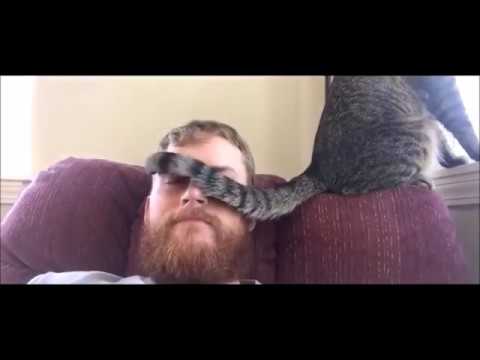 ☺ ► ULTIMATE FUNNY ANIMALS COMPILATION 2018 ! VERY FUNNY