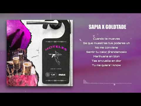 SAPIA x GOLDTADE -  HOTELES
