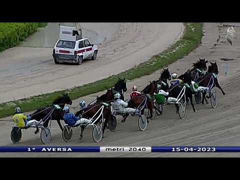 Aversa trotto 15 Aprile 2023 - 1° Corsa